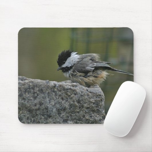 Chickdee, das Bad nimmt Mousepad (Mit Mouse)
