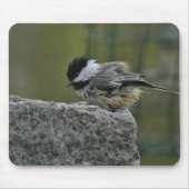 Chickdee, das Bad nimmt Mousepad (Vorne)