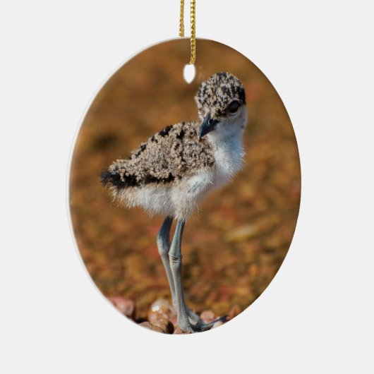 Chickeln Keramik Ornament (Rechts)