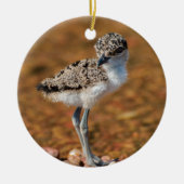 Chickeln Keramik Ornament (Vorne)