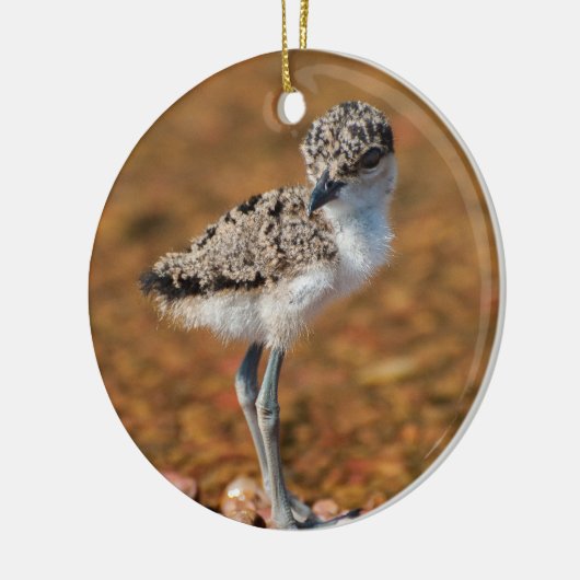 Chickeln Keramik Ornament (Links)