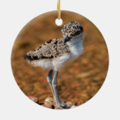 Chickeln Keramik Ornament (Hinten)