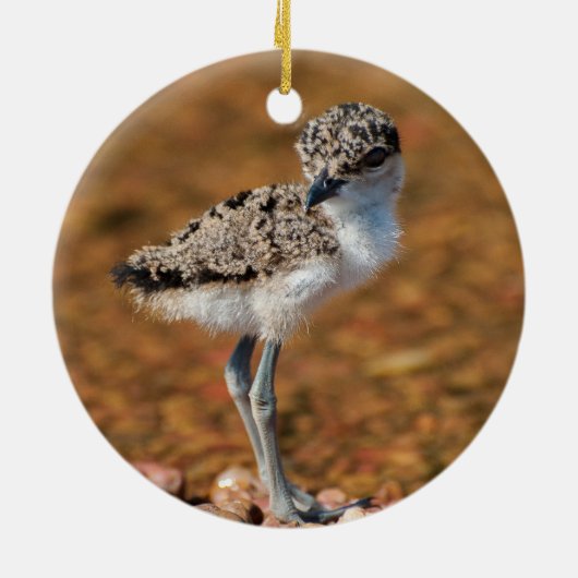 Chickeln Keramik Ornament (Hinten)