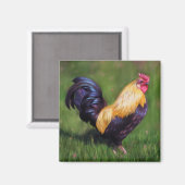 Chicken Art Stuart Bantam Rooster Magnet (Vorderseite/Rückseite)