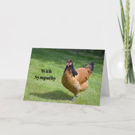 Chicken Black and Gold Vorwerk Foto Beileid Karte