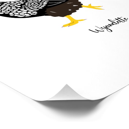 chicken breeds chart (Ecke)