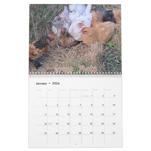 Chicken Calendar 2026 Kalender (Jan 2026)