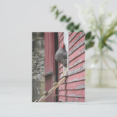 Chicken Coop Postkarte (Stehend Vorderseite)