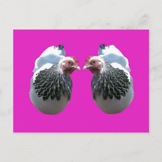 CHICKEN DUO ON MAGENTA POSTKARTE (Vorderseite)