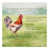 Chicken Farm Glossy Poster (Vorderseite)