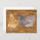 Chicken Friends JW Postkarte (Vorne/Hinten)