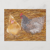 Chicken Friends JW Postkarte (Vorderseite)