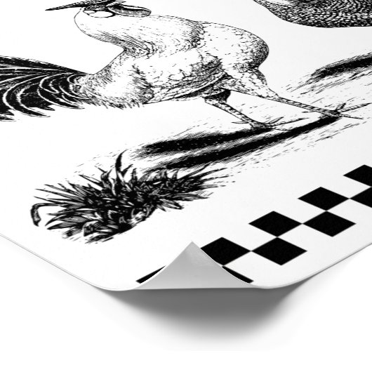 CHICKEN GEFÜTTERT POSTER (Ecke)