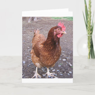 Chicken greeting card feiertagskarte
