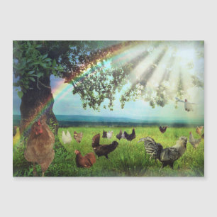 Chicken Heaven Magnetkarte