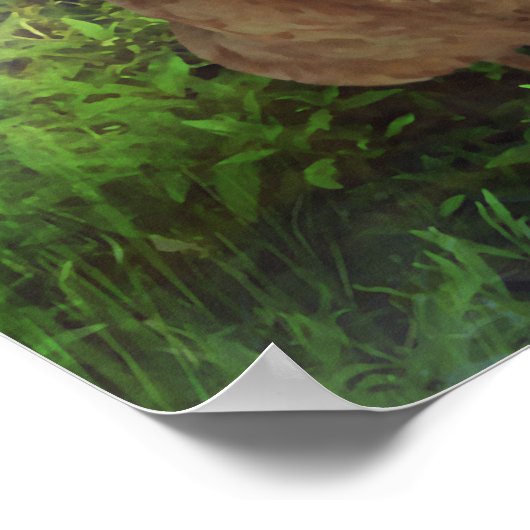 Chicken Heaven Poster (Ecke)