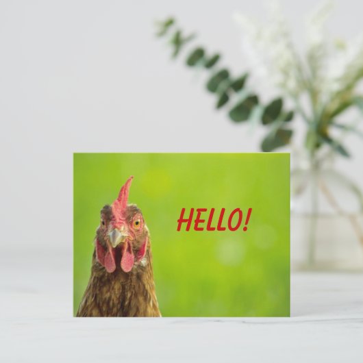 Chicken - Hello Postcard Postkarte (Stehend Vorderseite)