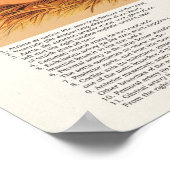 Chicken Hen Anatomie Poster (Ecke)