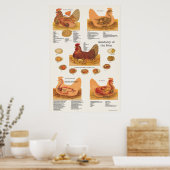 Chicken Hen Anatomie Poster (Küche)
