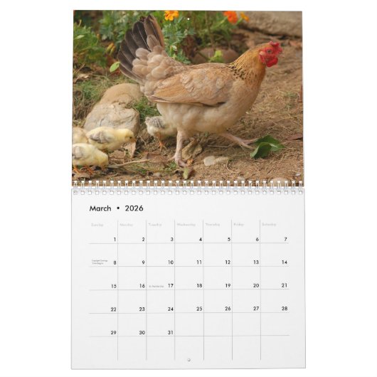 Chicken Hen Kalender (Mär 2026)