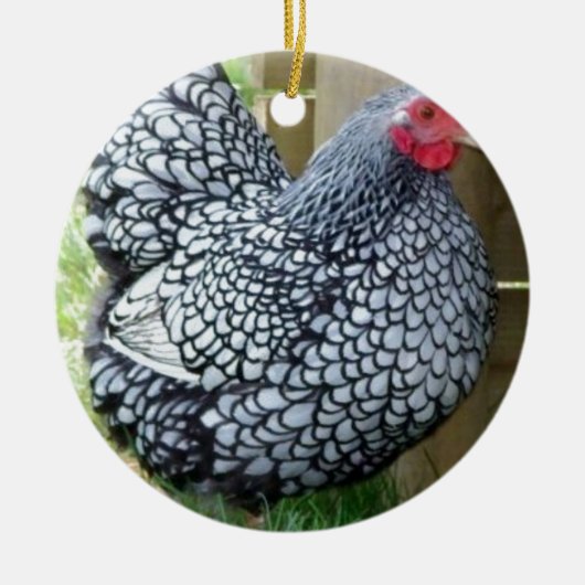 Chicken Hen Keramik Ornament (Vorne)