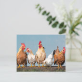 Chicken Hen Zwei-Tone-Tasse Postkarte (Stehend Vorderseite)