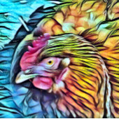 CHICKEN KERAMIKKNAUF