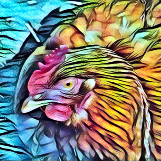 CHICKEN KERAMIKKNAUF