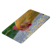 Chicken Magnet (Linke Seite)