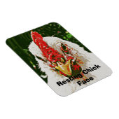 Chicken Magnet (Rechte Seite)