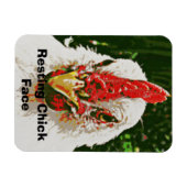 Chicken Magnet (Horizontal)