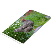 Chicken Magnet (Linke Seite)