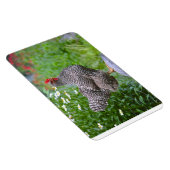 Chicken Magnet (Rechte Seite)