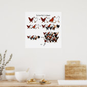 Chicken Math Poster (Küche)