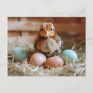 Chicken Next to Easter Nest with Colorful Eggs Postkarte