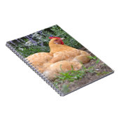 Chicken-Notebook Notizblock (Rechte Seite)