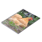 Chicken-Notebook Notizblock (Linke Seite)