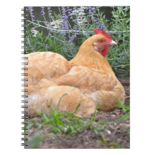 Chicken-Notebook Notizblock