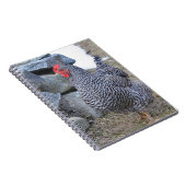Chicken-Notebook Notizblock (Rechte Seite)
