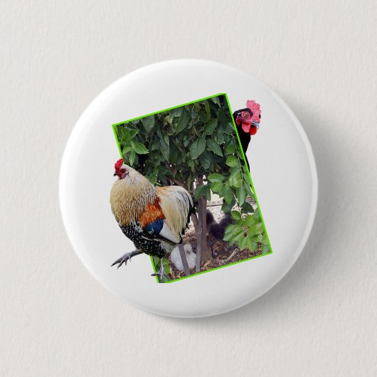 Chicken Peekaboo Design, Button (Vorderseite)