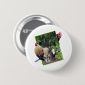 Chicken Peekaboo Design, Button (Vorne & Hinten)