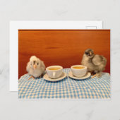 Chicken Picnic Postkarte (Vorne/Hinten)
