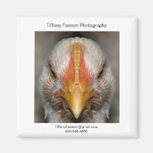 Chicken Promo Piece Magnet