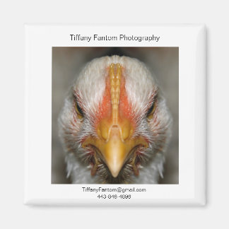 Chicken Promo Piece Magnet