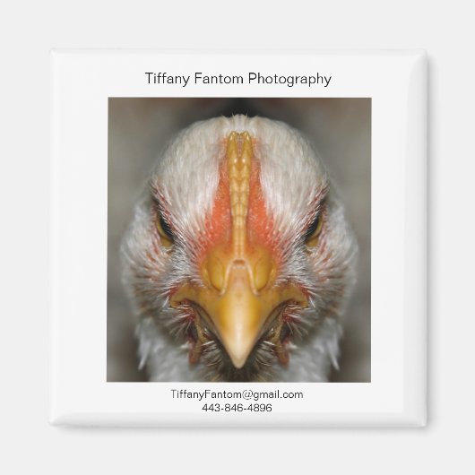 Chicken Promo Piece Magnet (Vorne)