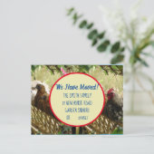 Chicken Rooster Neue Postkarte Wir ziehen (Stehend Vorderseite)