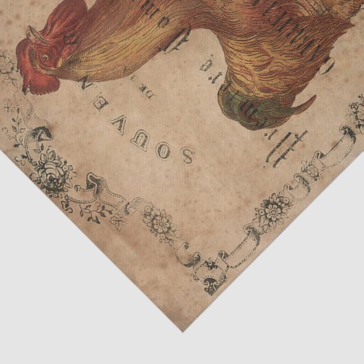 Chicken Scratch Seidenpapier (Ausschnitt)