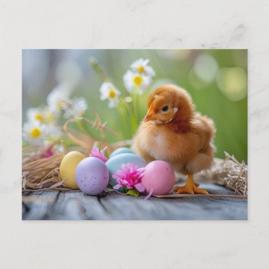 Chicken stands beside an Easter nest with eggs Postkarte (Vorderseite)