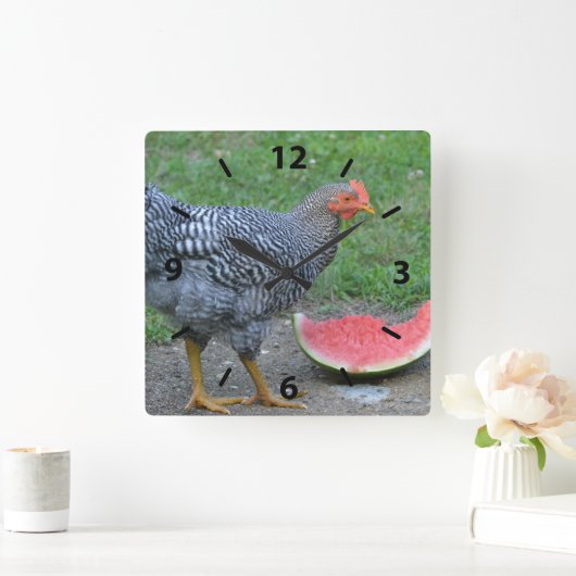 Chicken Watermelone Wall Clock Quadratische Wanduhr (Zuhause)