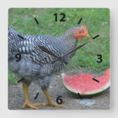 Chicken Watermelone Wall Clock Quadratische Wanduhr (Vorderseite)